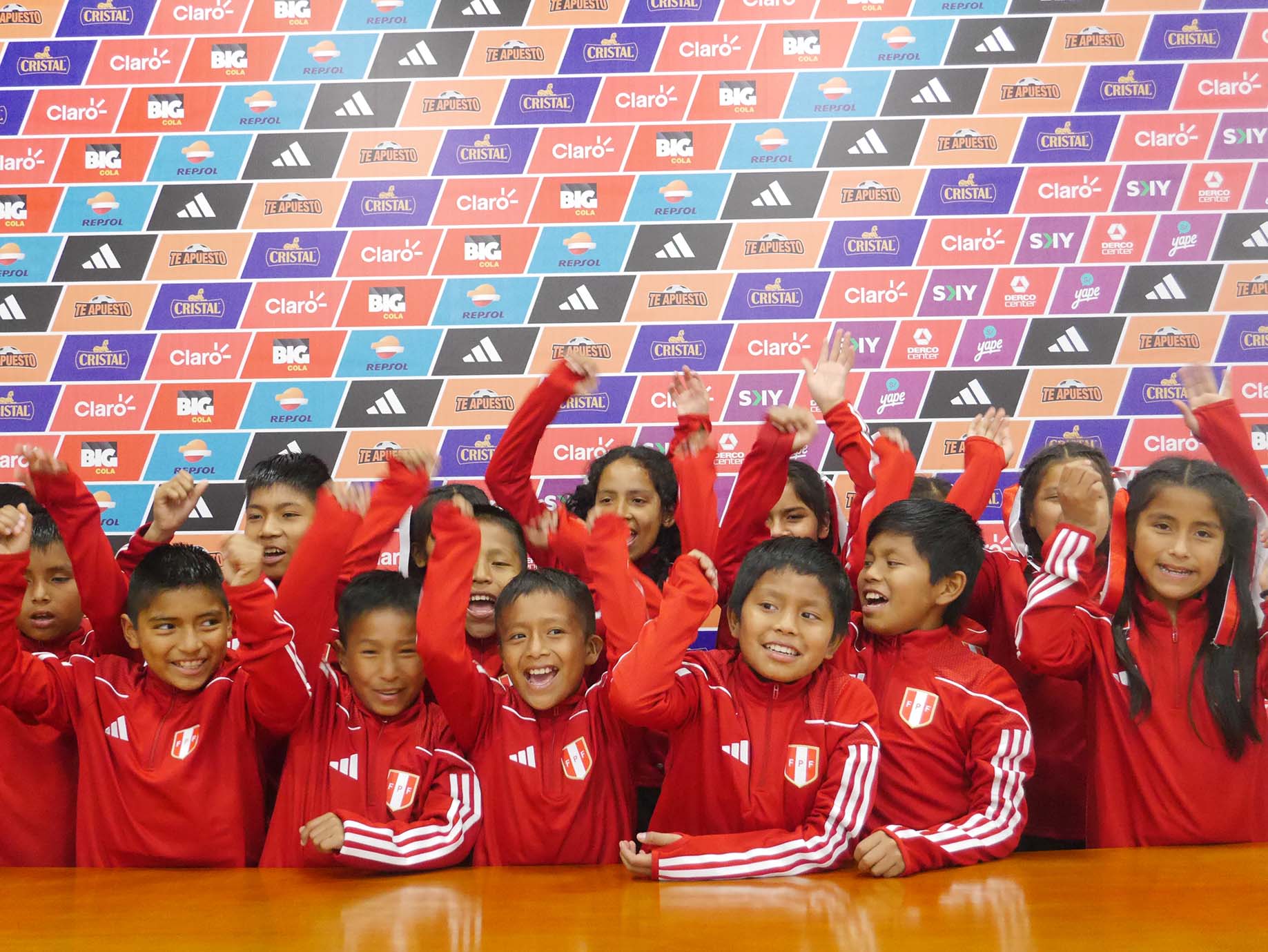 niños bandera 2