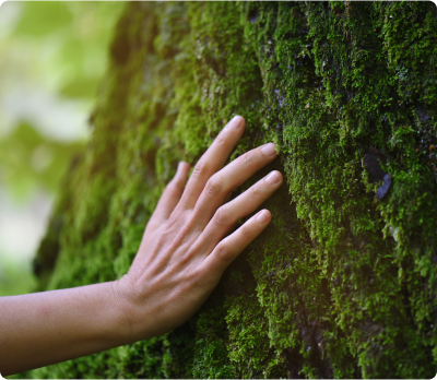 Mano apoyada en árbol