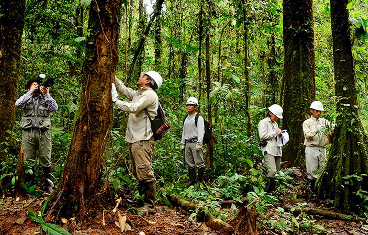 Bosque web.jpg